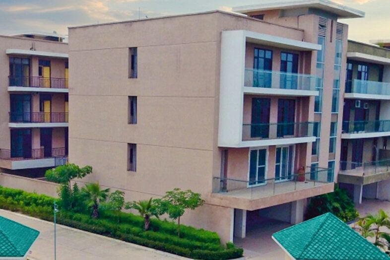 gallery_1770811585382