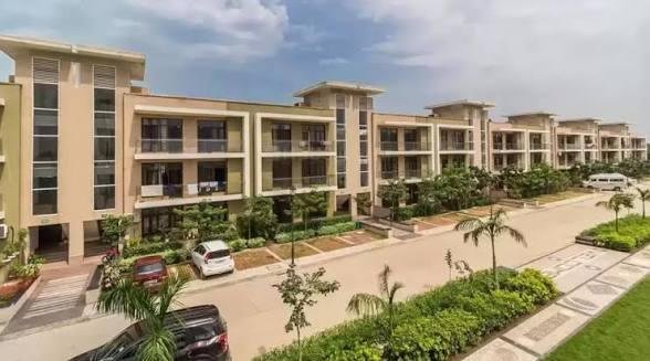 images - 2026-03-25T065327.291