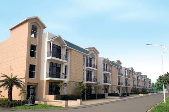 images - 2026-03-25T065348.222